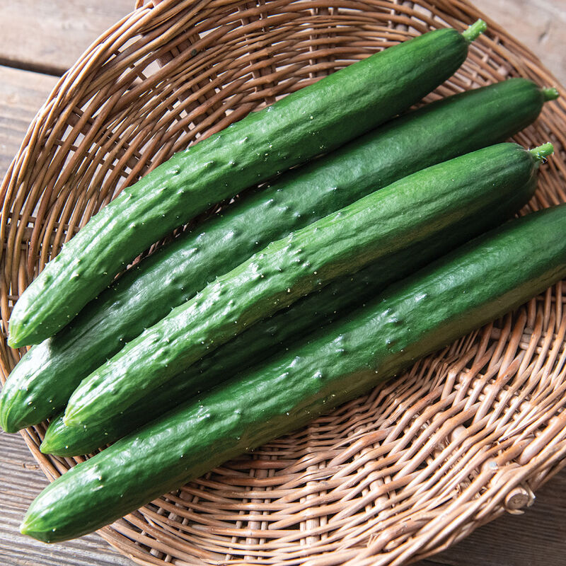 Cucumbers