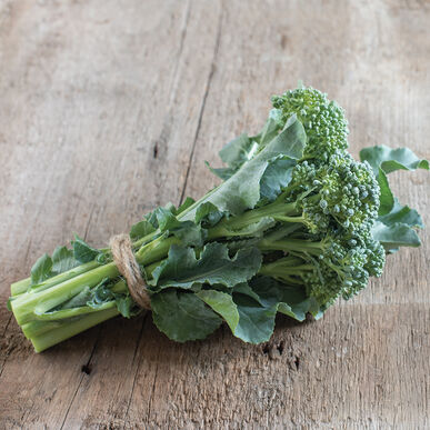 De Cicco Small-Medium Broccoli