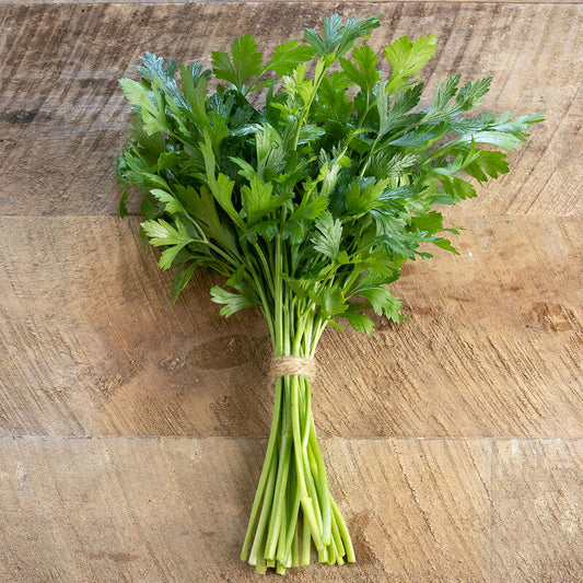 Flat Italian Parsley