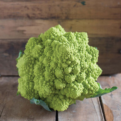 Puntoverde Green Cauliflower